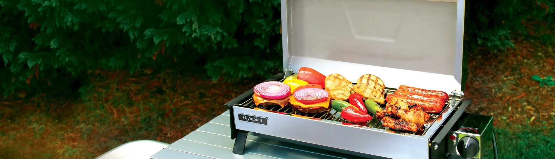 RV Grills | Pick Your Fuel, Your Size, And Your Mount, And Start Grilling!