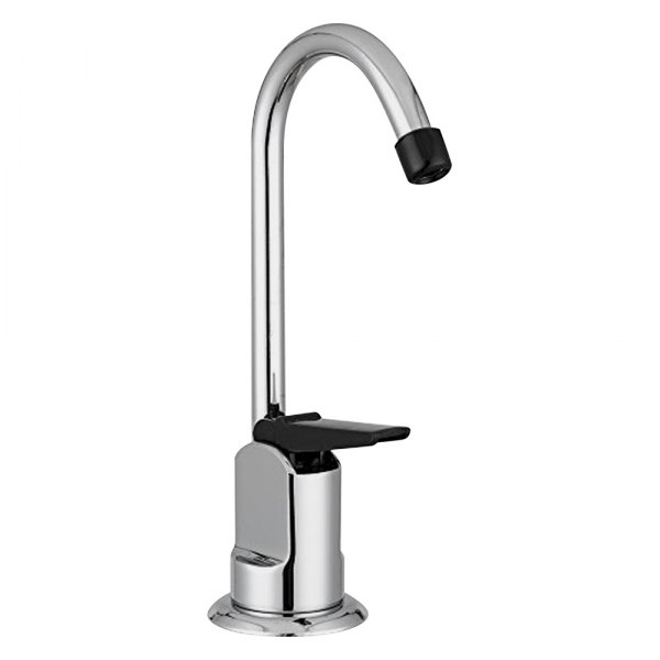 Dura® - Chrome Polished Plastic Drinking Fountain with Lever Handle