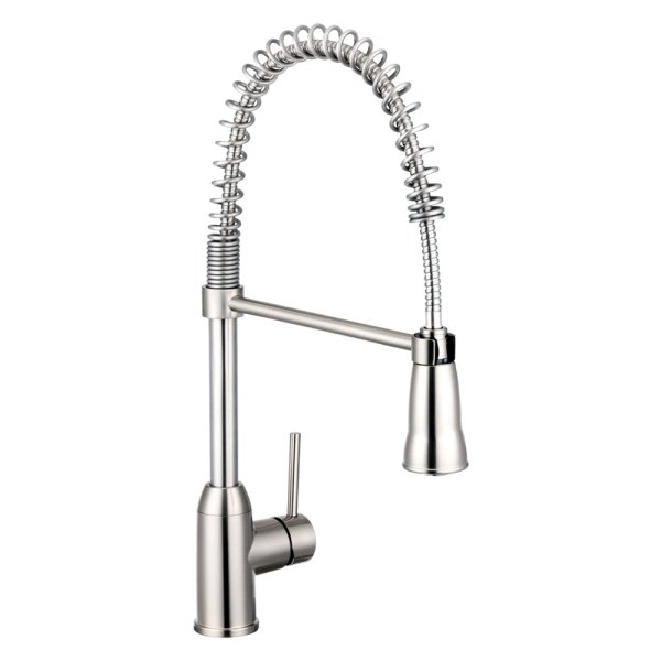 Dura® - Satin Nickel Plastic Kitchen Faucet with Lever Handle