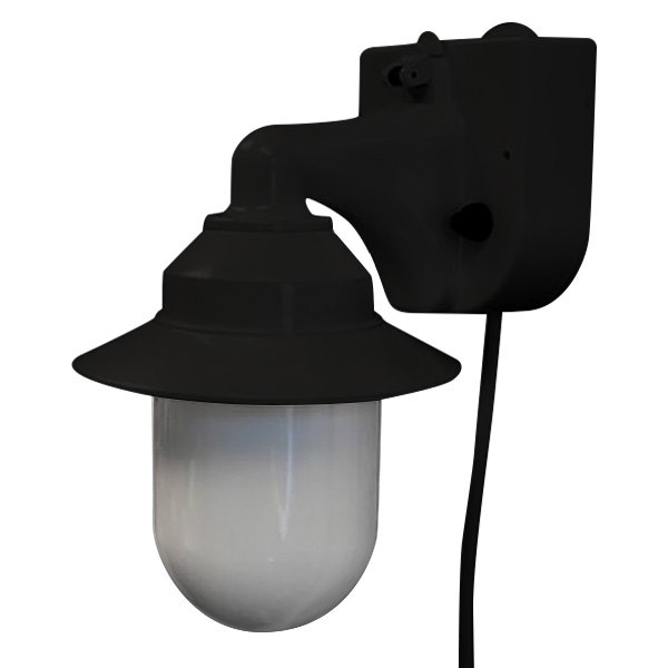 Polymer® - Black White Incandescent Wall Lantern With Switch