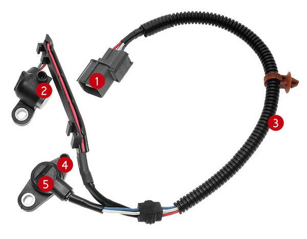 Camshaft/Crankshaft Position Sensors 