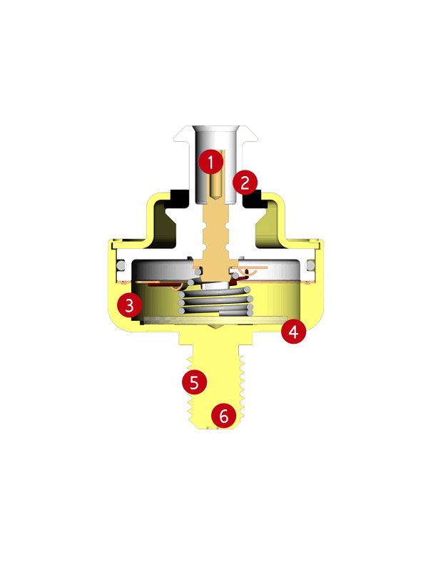 Standard Information